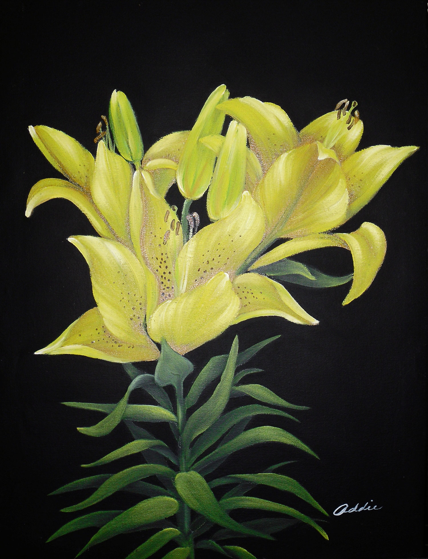 Yellow Lilies