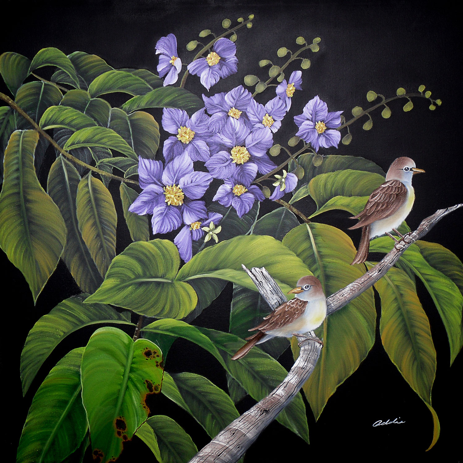 Ibon at Banaba